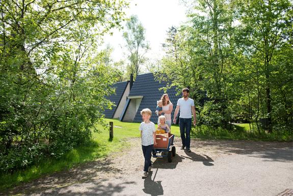 Wandelen met de bolderwagen | Bungalowpark Hoenderloo