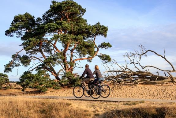 Hoge Veluwe | Dagje uit vanaf Bungalowpark Hoenderloo