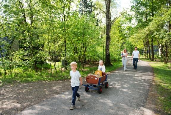 omzeilen Gecomprimeerd Sympton Weekendje weg Veluwe | Verblijf in een bungalow midden in het bos